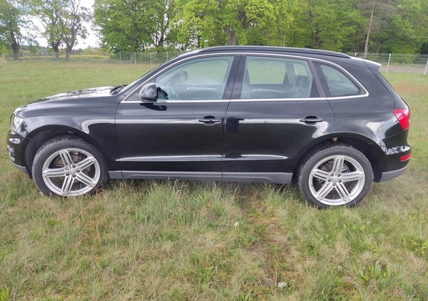Audi Q5 cena 38999 przebieg: 338160, rok produkcji 2011 z Bolesławiec małe 232